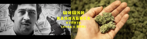 хмурый Карпинск