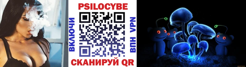 Псилоцибиновые грибы мицелий  как найти   Починок 