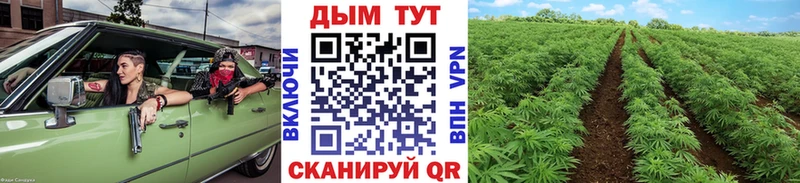 Бошки Шишки семена  Починок 